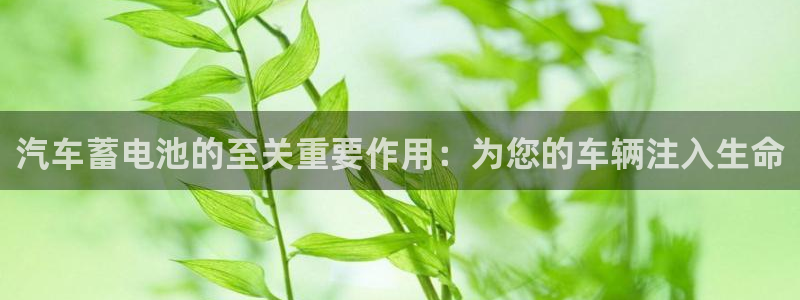 优发国际网站178