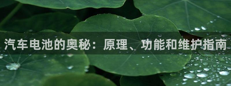 优发国际手机客户端官网下载