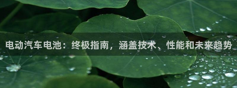 优发国际手机客户端下载官网