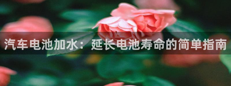 优发国际平台app下载安装
