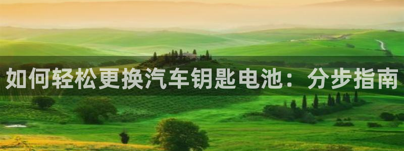 优发国际手机版官网入口