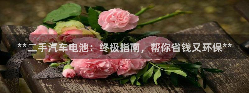 优发国际手机版网站入口