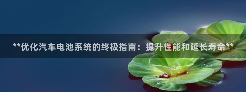 优发国际平台手机版下载安装