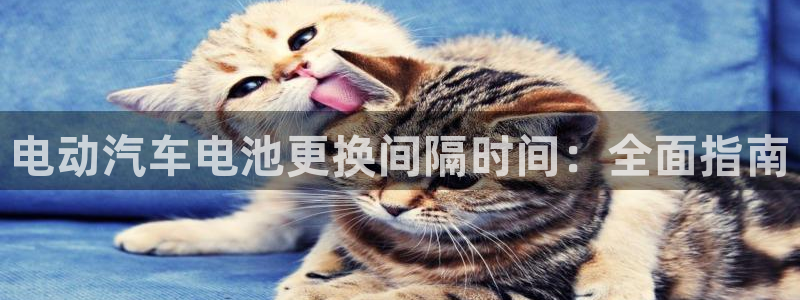 优发国际官网手机版下载安卓