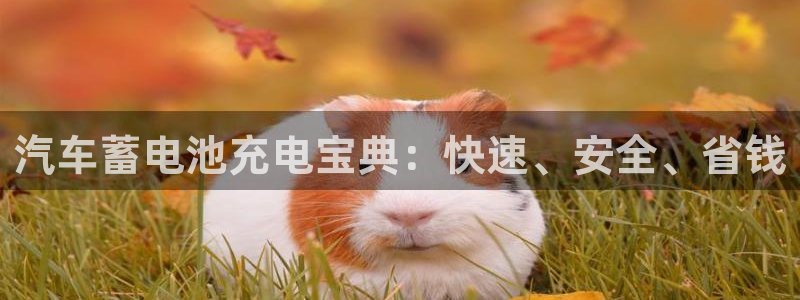 优发国际客服联系方式查询