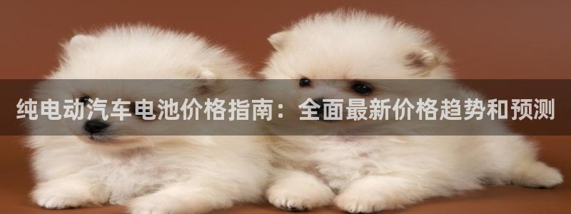 优发国际不出款了吗