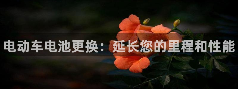 优发国际下载安装