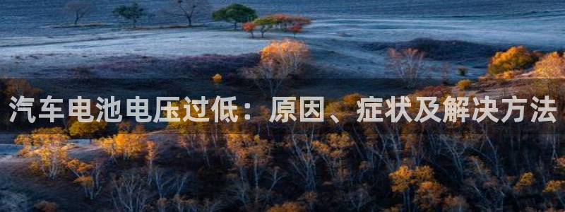 优发国际安卓版下载安装