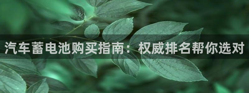 优发国际这个平台怎么样可靠吗