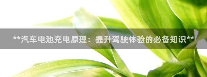 优发国际官方网平台