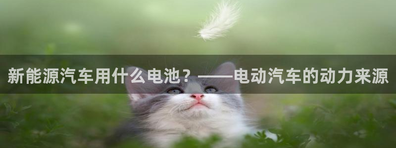 优发国际官方网平台