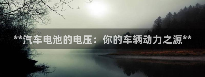 优发国际平台u8是什么公司