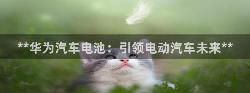 优发国际不出款怎么办