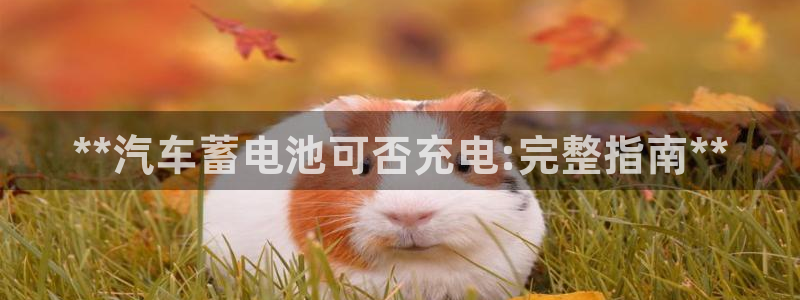 优发国际客服联系方式是什么