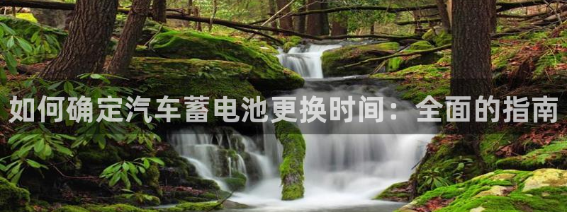 优发国际平台APP
