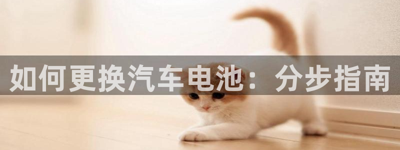 优发国际平台app下载