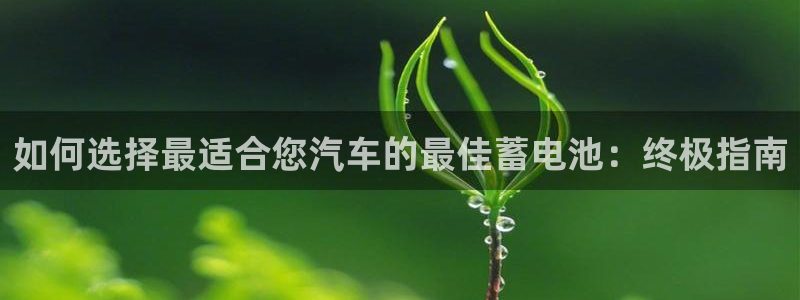 优发国际手机客户端官网