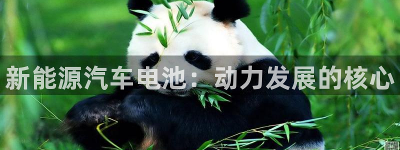 优发国际游戏17岁能玩吗