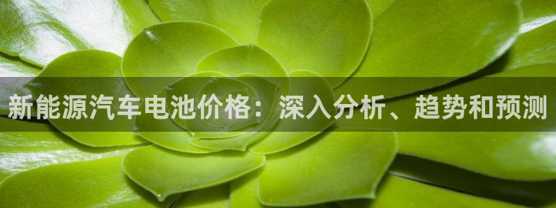 优发国际app官网下载安装