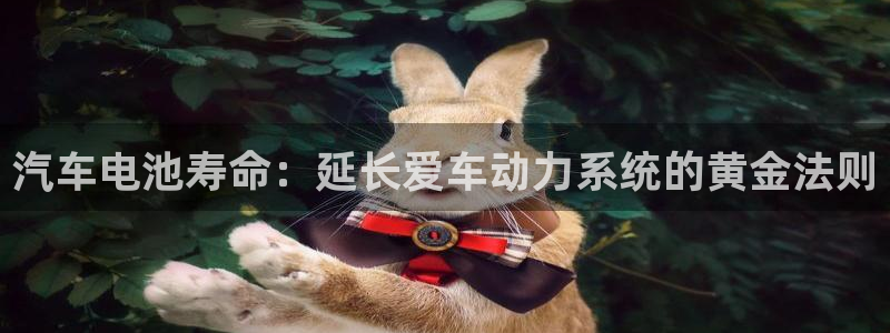 优发国际注册账号