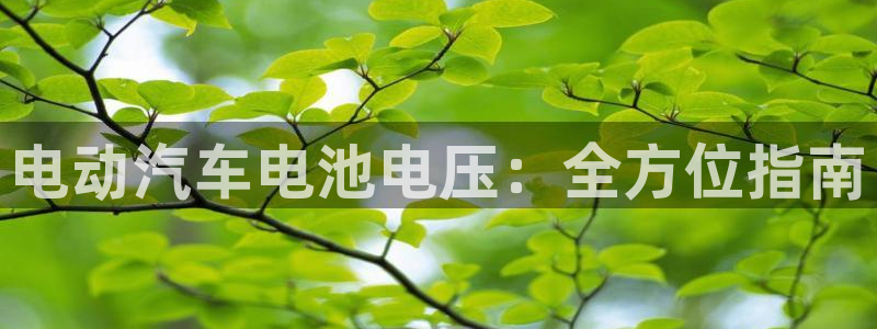 优发国际网站