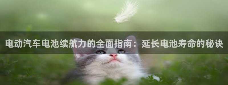 优发国际官网平台