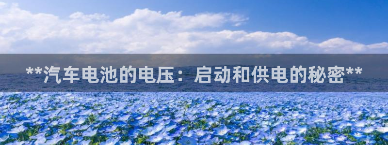 优发国际vip网址