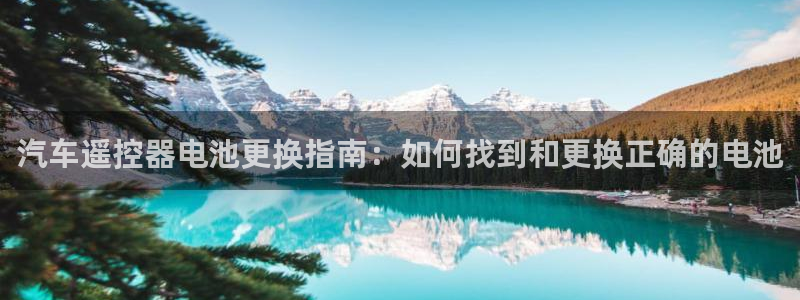 优发国际是大平台吗知乎