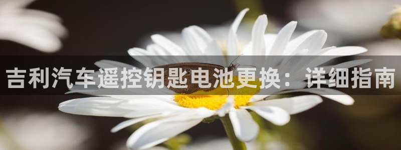 优发国际手机版唯一官网