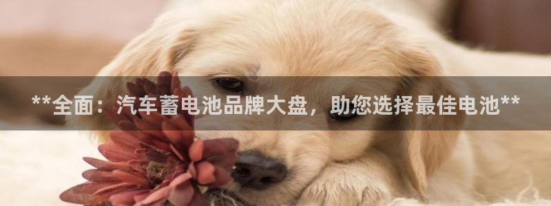 优发国际怎么样
