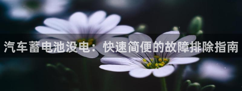 优发国际多少