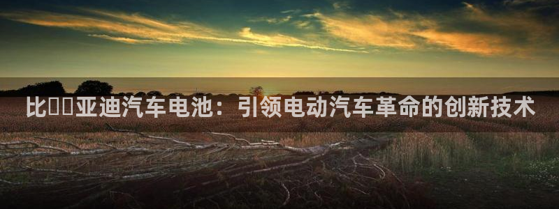 优发国际集团股份有限公司