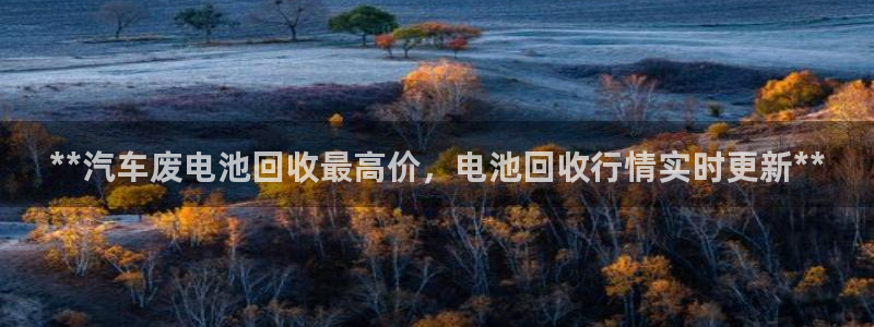 优发国际游戏17岁能玩吗