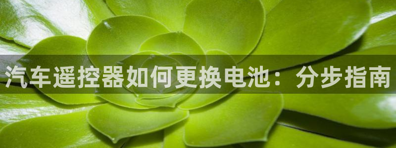 优发国际顶级