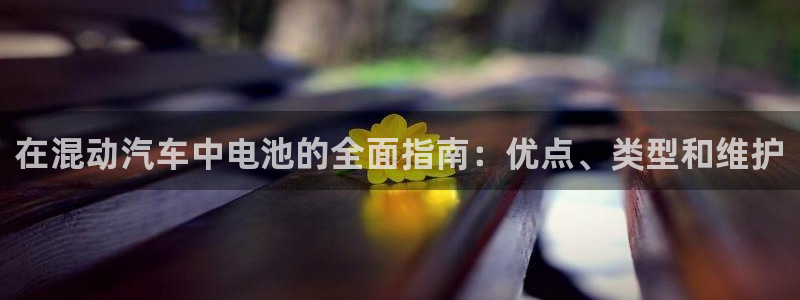 优发国际官方网手机版app