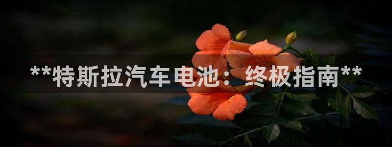 优发国际是合法的吗
