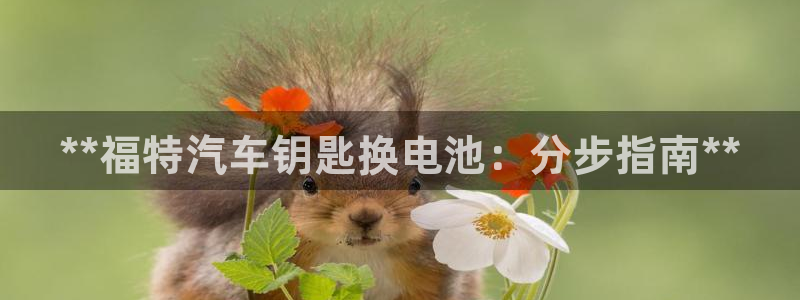 优发国际的官网是什么