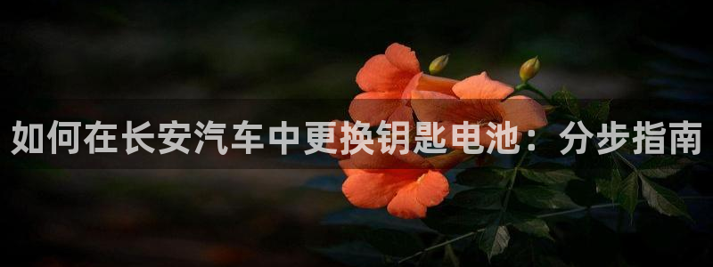 优发国际的官网是
