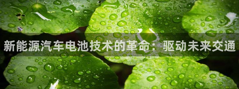 优发国际官网网站首页