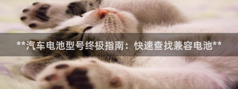 优发国际合并到哪里了啊