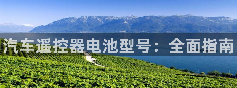 优发国际网官网17w8