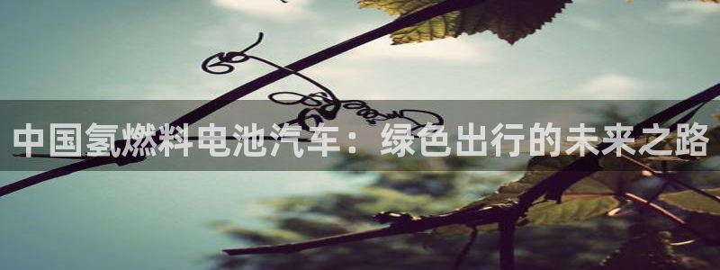 优发国际是合法的吗