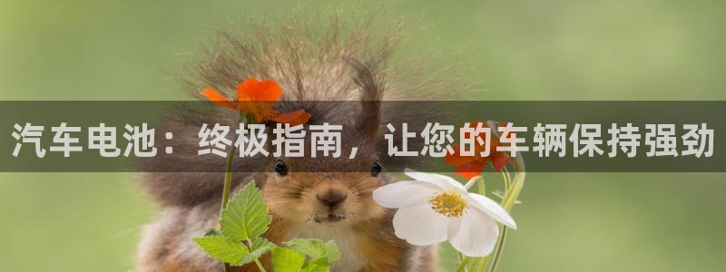 优发国际手机客户端怎么下载