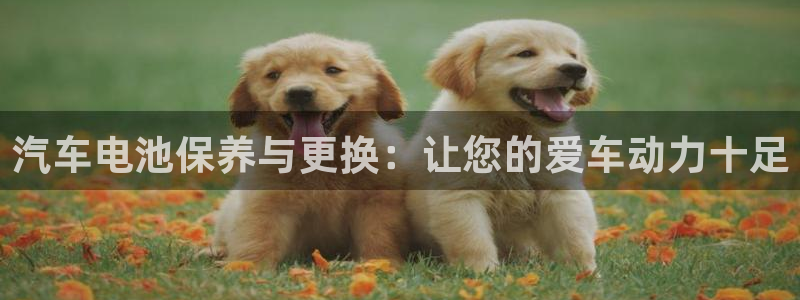 优发国际不出款怎么办