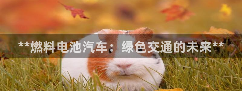 优发国际官网网站