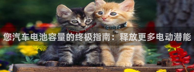优发国际首页