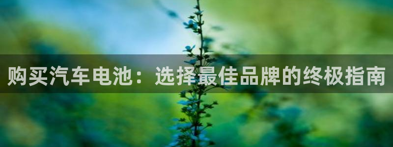 优发国际手机版网站入口