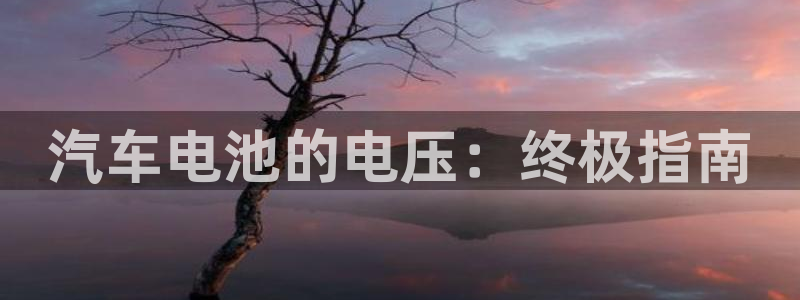 优发国际注册账号