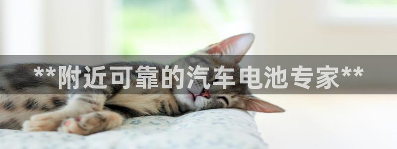 优发国际是大平台吗还是小平