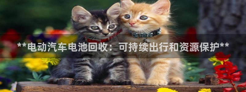 优发国际是大平台吗还是小平